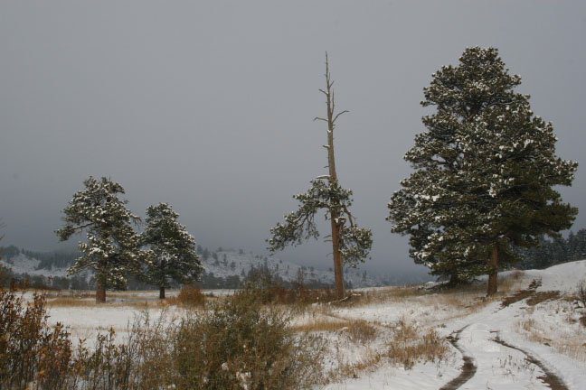 twin pine ranch in the winter