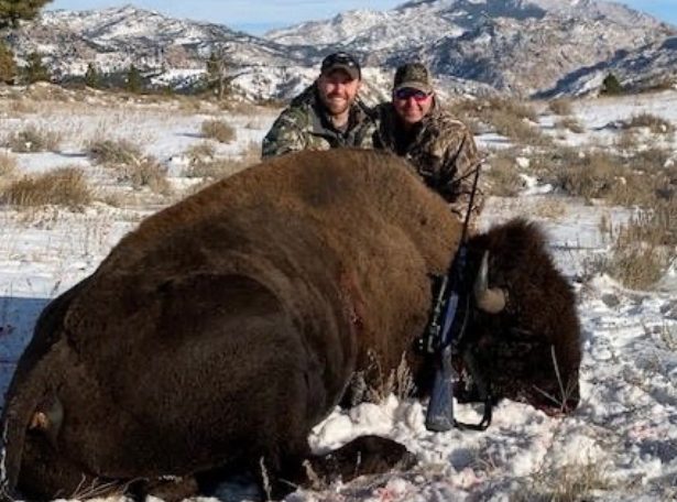 bison hunting winter