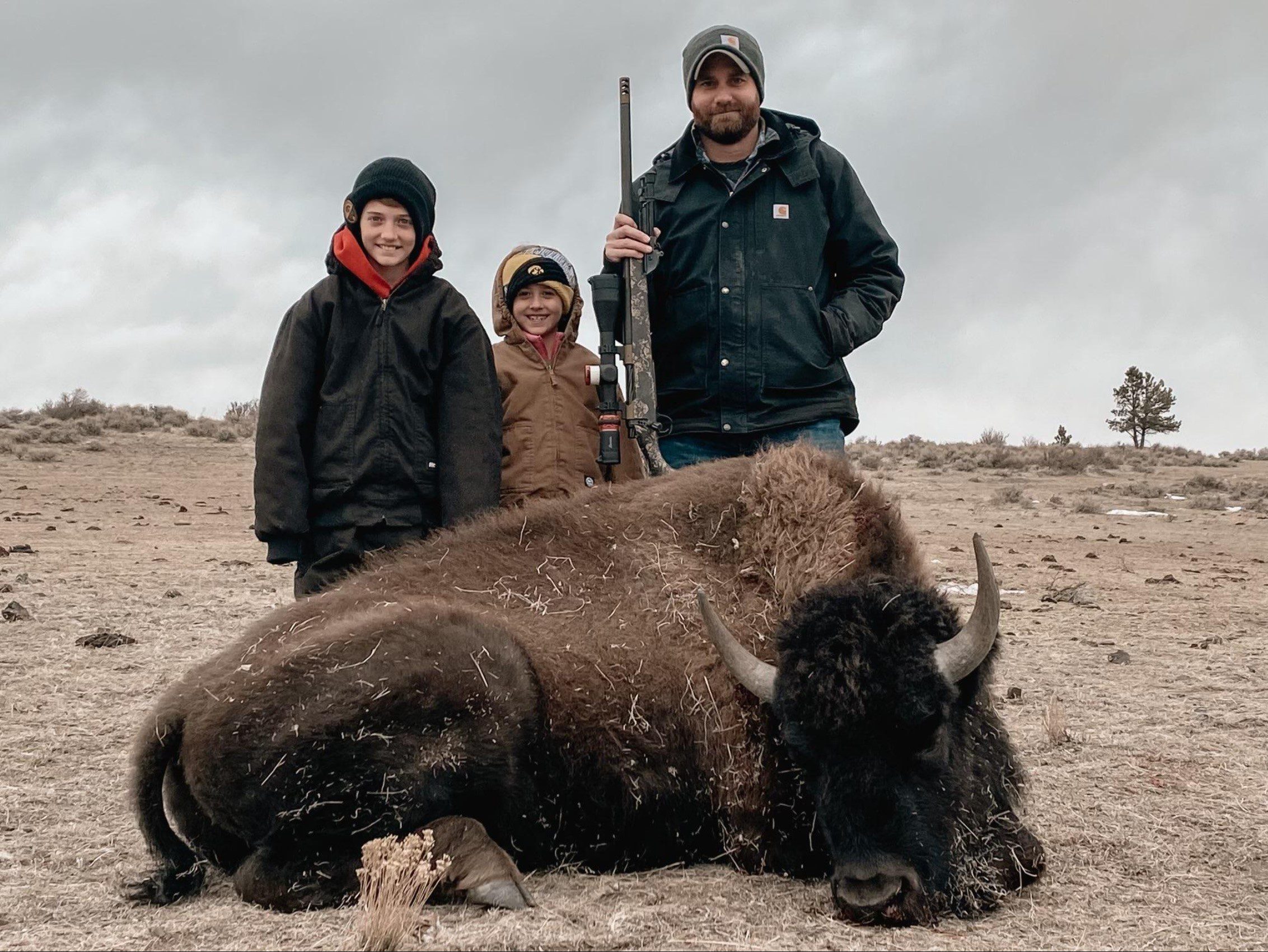 Young Bison Bull Hunts