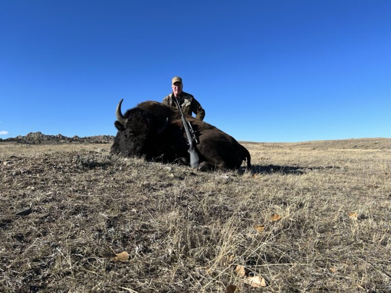 bison, wyoming, hunting, shooting, buffalo, ranch