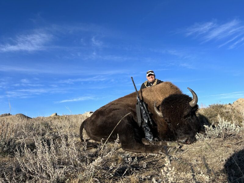 trophy bison, wyoming, ranch, hunting